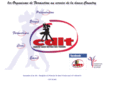 cdit-france.com