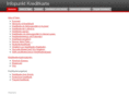 infopunkt-kreditkarte.de