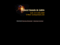 midwestsoundsandlights.com