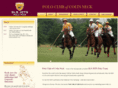 njpolo.com
