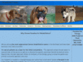 paradisepettherapy.com