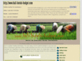 bali-hotels-budget.com