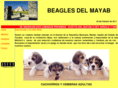 beaglesdelmayab.com