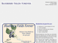 blueberryfieldsforever.com