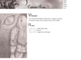 catherineroop.com