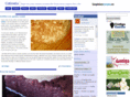 colineta.com
