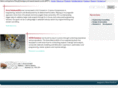 derisinternational.com