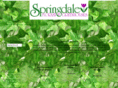 springdaleflorists.com
