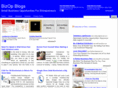 bizopblogs.com
