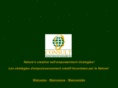 consult-iidc.com