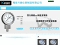 keaoyibiao.com