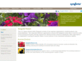 syngentausflowers.com