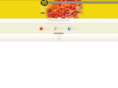 themadpizzacompany.com
