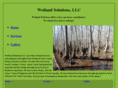 wetlandsolutionsnc.com