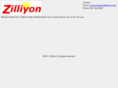 zilliyon.com