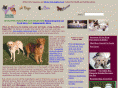 allourpets.com