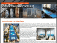 icononbrickellsales.com