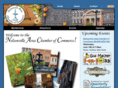 nelsonvillechamber.com