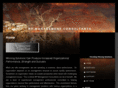 bpteamsolution.com