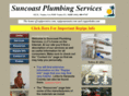 suncoastplumbingservices.com