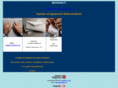 aessemedical.com