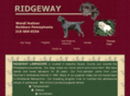 ridgewaylabs.com