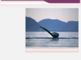 algonmadencilik.com