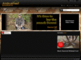 ambushedoutdoors.com