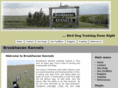 bird-dog-training.com