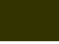 homelandinstitute.com