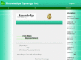 knowledge-synergy.com