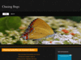 chasingbugs.com