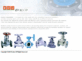 evcvalve.com