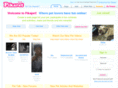 pikapet.com