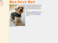 runspotrun.biz