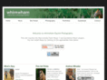 whimwam.com