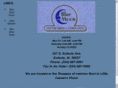 bluemooncybercafe.com