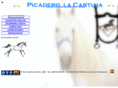 picaderolacartuja.com