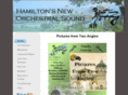 steeltownsymphony.com
