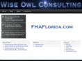 wiseowlconsulting.com