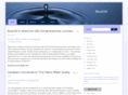 blueionwater.com