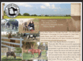 cedaroaksequinerescue.org