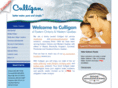 culligan-water.com