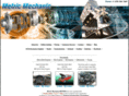 metricmechanic.com