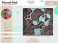 planetdotjewelry.com
