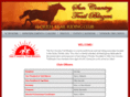 suncountrytrailblazers.com