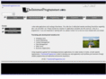 theinternetprogrammer.com