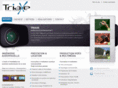triaxe.com