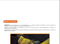 aservitecs.com