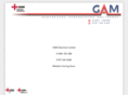 gamelectrical.com